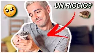 VLOG: HO FATTO UNA PAZZIA: IL MIO PRIMO (insolito) ANIMALE DOMESTICO! 🦔