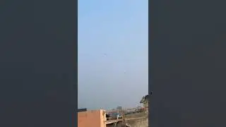 kite fighting from rooftop🪁Cutting kite caught|Big kite catching |Kite looting from rooftop #shorts