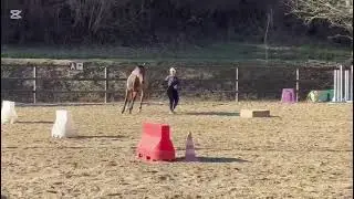  Liberty Parelli Audition Level 4 - Elena & Fly