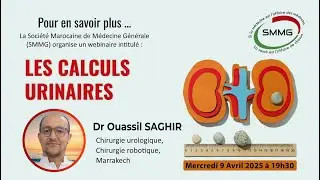 Les calculs urinaires