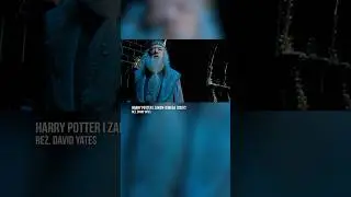 POLSKIE GŁOSY W HARRY&rsquo;M POTTERZE