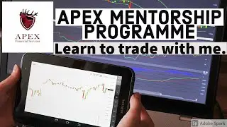 Learn To Trade with me! Apex Mentorship Programme.