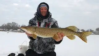 Ice Fishing with Tip Ups for Beginners