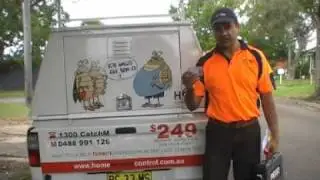 Termites Inspection Sydney | Pest Control Services need licences and insurance