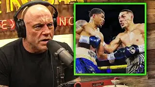 Joe Rogan BREAKS DOWN Shakur Stevenson vs Teofimo Lopez &ndash; Who REALLY Wins? 🧠🥊