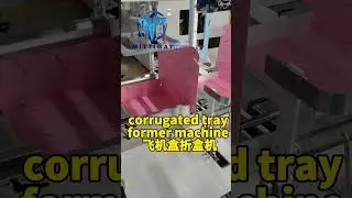 Tray Erecting Higher Speed Box Erector Machine #machine #tray #hotglue