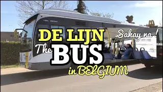 DE LIJN BUS EXPERIENCE IN BELGIUM | HD-4K BUS TOUR TO STER IN SINT-NIKLAAS