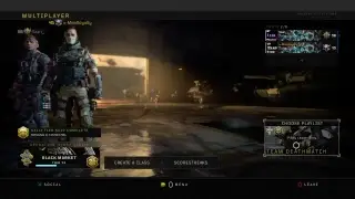[LIVE] SOON TO BE BEST FEMALE GAMER GRINDS BO4