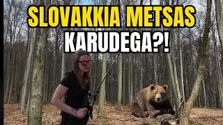 Balkani trip OSA 2 | Slovakkia metsast leidub igasuguseid loomi…