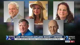 Law professor explains insanity defense for Jarrod Ramos' trial