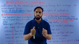 Ossification  of bone | bone ossification | bone ossification anatomy | bone ossification in Hindi 
