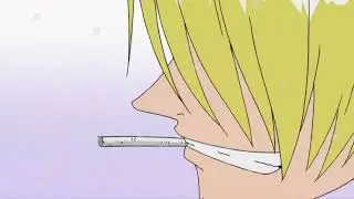zoro and sanji attacks wapol crew