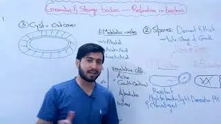 1st year Biology Chapter 6 lec 48 Topic Granules and storage bodies , Respiration in Bacateria