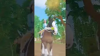 Finding a club in SSO be like 🤣😭 #starstable #club #memes #horsememes