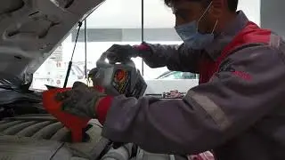Enjoy additional benefits with every oil change!