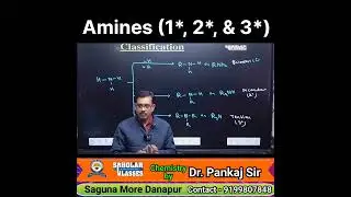 Primary, Secondary & Tertiary Amines