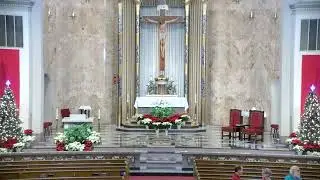 Our Lady of Sorrows Sunday, December 28, 2025, 11:00 AM Mass