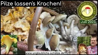 Pfifferlinge! Beste Pilz Tour 2023! Pilze sammeln Juli!