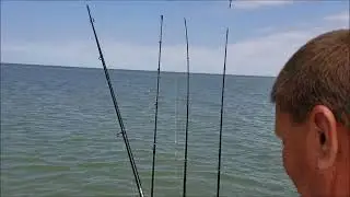 052519 fishing- Tangier Sound