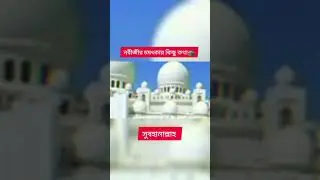 নবীজির চমৎকার কিছু কথা 😱 #shorts #shortsfeed #viralvideo #islam #islamic #interesting #rasulullah