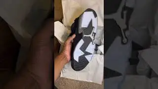 LPU!! Metallic Air Jordan 6s!! Clean Pair💯