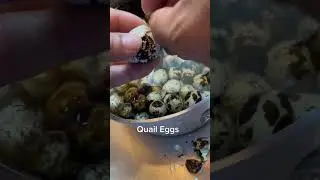 How To Peel Hardboiled Quail Eggs #quaileggs