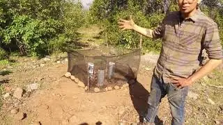 Restauración Ecológica con técnica de núcleos forestales