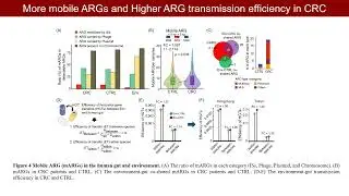 Antimicrobial resistance genes from environment to human gut is more pronounced in colorectal cancer