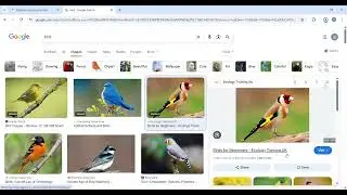 machine learning for kids