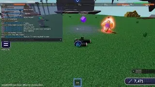 Rock bug