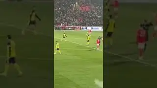 #bundesliga #football ,Union Berlin,Borussia Dortmund,F&ouml;rsterei,Sepak bola di Jerman,ฟุตบอลในเยอรมนี
