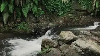 Calm Lake for Cognitive Performance, Deep Relaxation