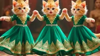 बिल्ली डांस | Cutest Cat videos funny dance💃🤣Videos for cats #funny #dancingcat #cat
