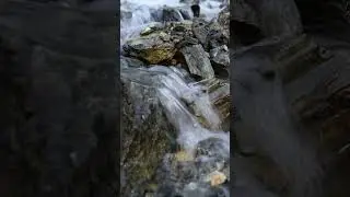 Creek in the mountains #digitalbreak  #flowingstream #nature #calming #streamsounds #naturestream