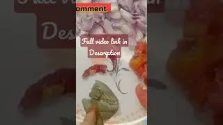 Bhuna chicken masala #shorts #youtubeshorts #khanawithsaba