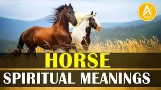 Horse Spiritual Meanings & Symbolism | Horse Spirit Animal Meanings