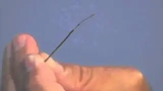 Clarivein