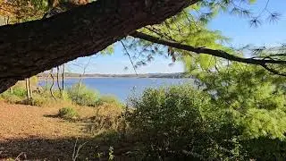 Spruce run recreation area with natural sound