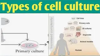 Types of Cell culture| Unit 5| B. pharm 3 Sem #jitendrapatel #typeofcellculture