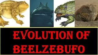 evolution of beelzebufo