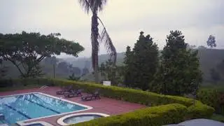 Incredible Morning Birdsong in Quimbaya, Colombia