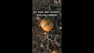 Fly Safe (Not Spooky) | Remote Pilot 101