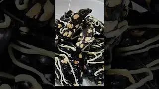 Oats cookies,mix nuts cluster #shorts #youtube #christmasrecipe #deepalskitchen