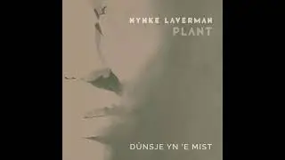 D&ucirc;nsje yn 'e Mist - Nynke Laverman