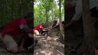 hard to get out #trending  #shortvideo