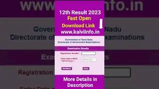 TN 12th Result 2023
