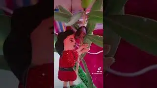 #وسائل_تعليميه #مجسم #لقطف#الزيتون