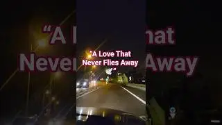 La Paloma 🕊️ | Timeless Spanish Love Song | Julio Iglesias |Night Drive Vibes #musica #shorts #viral