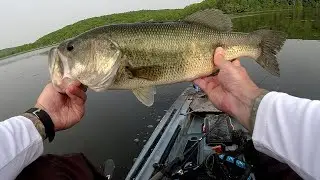 The Other Side of the Lake - Lake Arthur Bass Fishing