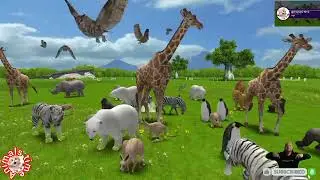 The jangal book song, animals safari wildlife, wild animals safari, unforgettable wildlife
